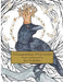 A Compendium of Curiosities by Kat Dreibelbis