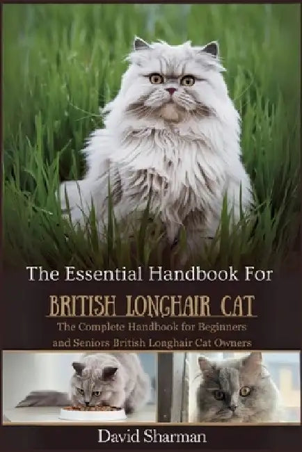 The Essential Handbook for British Longhair Cat: The Complete Handbook For Beginners And Seniors British Longhair cat owners by David Sharman