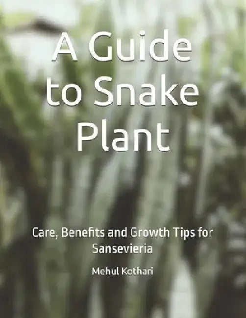 A Guide to Snake Plant: Care, Benefits and Growth Tips for Sansevieria by Mehul Kothari