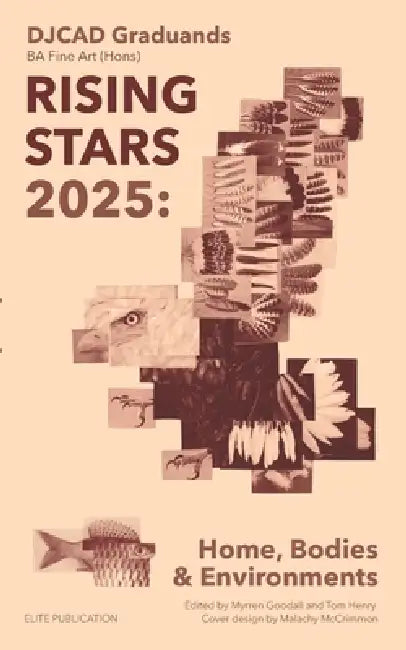 Djcad Rising Stars