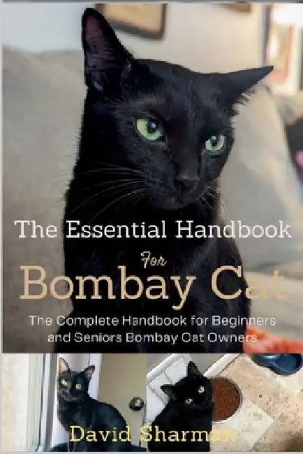 The Essential Handbook for Bombay Cat: The Complete Handbook For Beginners And Seniors Bombay cat owners by David Sharman