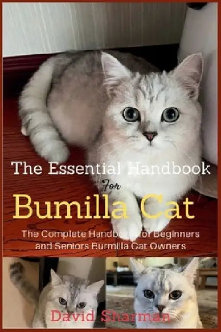 The Essential Handbook for Burmilla Cat: The Complete Handbook For Beginners And Seniors Burmilla cat owners by David Sharman
