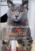 The Essential Handbook for Korat Cat: The Complete Handbook For Beginners And Seniors Korat cat owners by David Sharman
