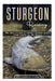 STURGEON Raising: The epic return of earth's ancient giants from fossils to the future. by William D. Tyre