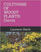 Cultivars of Woody Plants: Cercis by Hatch, Laurence