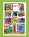 Experiencias de Huerta_ 3 by Ortolani, Adriana