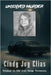 The Unsolved Murder of Cindy Joy Elias: Shadows in the Iron Range into Minnesota's Coldest Cold Case by Indrawan, Ricky