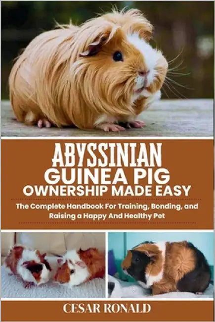 Abyssinian Guinea Pig Ownership Made Easy: The Complete Handbook For Training, Bonding, and Raising a Happy And Healthy Pet by Ronald, Cesar