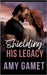 Shielding his Legacy: A Secret Baby Romantic Suspense by Gamet, Amy