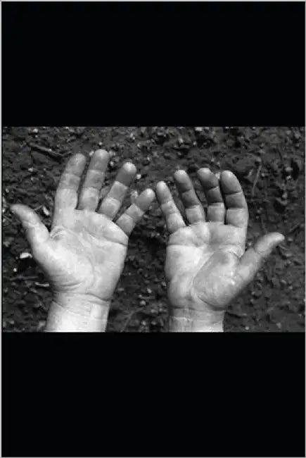 Mi Testimonio: Un Viaje Divino by Blanco Lopez, Victor Jose Ramon