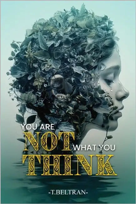 You Are Not What You Think: You Are More Than a Conqueror by Beltran, T.