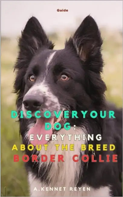 Discover your Dog: Everything about the breed Border Collie by Kennet Reyen, A.