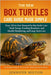 The New Box Turtles Care Guide Made Simple: Your All-in-One Manual for Box Turtle Care-Tank Setup, Feeding Routines, and Health Monitoring, and Long-T by Milton, Jennifer