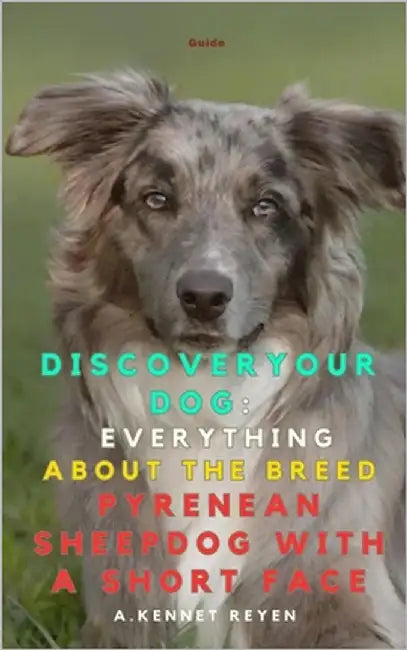 Discover your Dog: Everything about the breed Pyrenean Sheepdog with a Short Face by Kennet Reyen, A.