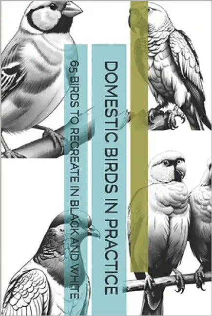 Domestic Birds in Practice: 65 Birds to Recreate in Black and White by -, The Book Lab