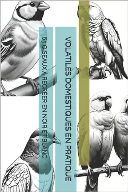 Volatiles Domestiques En Pratique: 65 Oiseaux À Recréer En Noir Et Blanc by -, The Book Lab