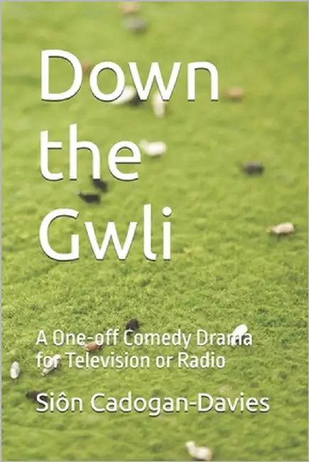 Down the Gwli: A One off Comedy Drama for Television or Radio by Cadogan-Davies, Siôn