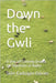 Down the Gwli: A One off Comedy Drama for Television or Radio by Cadogan-Davies, Siôn