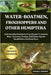 Water-Boatmen, Froghoppers and Other Hemiptera: Understanding Hemiptera: From Cicadas To Assassin Bugs-Taxonomy, Ecology, Field Study, Species Identif by J. Dawson, Adams