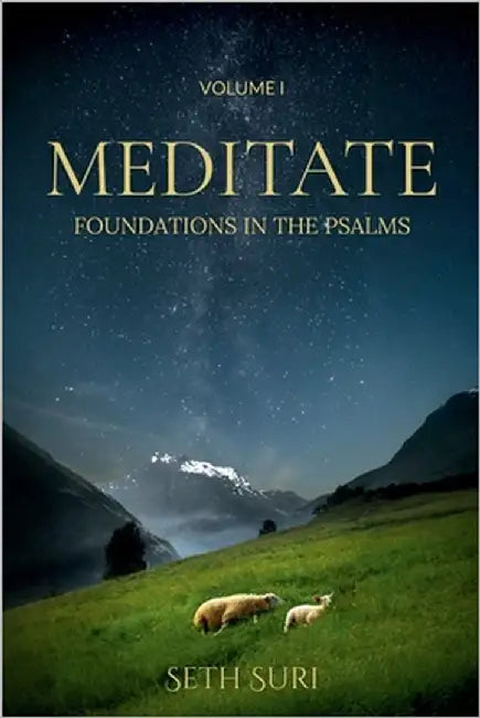 Meditate: Volume I - Foundations in the Psalms by Suri, Seth