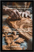 Design and Carve Custom Wooden Stamps for Printmaking and Crafts: Personalize Paper, Fabric, or Gifts with Hand-Crafted Stamps You Can Make at Home by Wright, Daveson