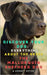 Discover your Dog: Everything about the breed the Mallorcan Shepherd Dog by Kennet Reyen, A.