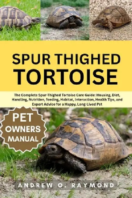 Spur Thighed Tortoise