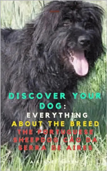 Discover your Dog: Everything about the breed The Portuguese Sheepdog Cão da Serra de Aires by Kennet Reyen, A.