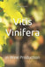 Vitis Vinifera: in Wine Production by Bernardo Musumeci