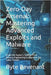 Zero-Day Arsenal: Mastering Advanced Exploits and Malware: Inside the Hacker's Toolkit-From Reverse Engineering to Quantum-Era Cyber Threats by Revenant, Byte