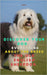 Discover your Dog: Everything about the breed the Old English Sheepdog by Kennet Reyen, A.