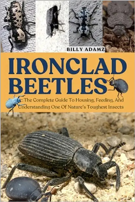 Ironclad Beetles: The Complete Guide To Housing, Feeding, And Understanding One Of Nature's Toughest Insects by Adamz, Billy