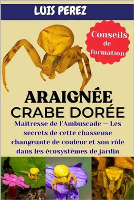 Araignée Crabe Dorée: Maîtresse de l'Ambuscade - Les secrets de cette chasseuse changeante de couleur et son rôle dans les écosystèmes de jardin by Perez, Luis