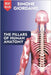 The Pillars of Human Anatomy: The Complete Anatomical Guide for Osteopaths, Bodyworkers, and Manual Therapists by Giordano, Simone