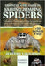 Essential Care Guide in Raising Jumping Spiders: The Beginner's Handbook To Raising Jumping Spiders, Enclosure Setup, Feeding, Handling, And Breeding by Luguerd, Jeffery