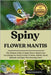 Spiny Flower Mantis: The Ultimate Guide To Spiny Flower Mantis Care: Everything You Need To Know To Raise, Habitat, Breed, Maintain And Enjoy This Stu by Woolverton, James