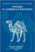 Il Cammello racconta: Antologia racconti VII Edizione Concorso letterario "Il Cammello racconta" by VV, Aa