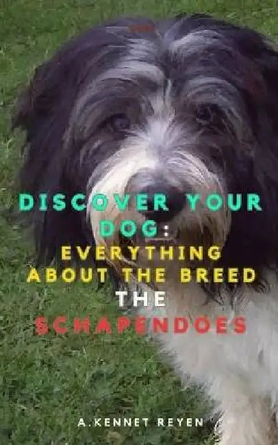 Discover your Dog: Everything about the breed: The Schapendoes by A. Kennet Reyen