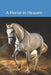 A Horse in Heaven by Diana Vincent