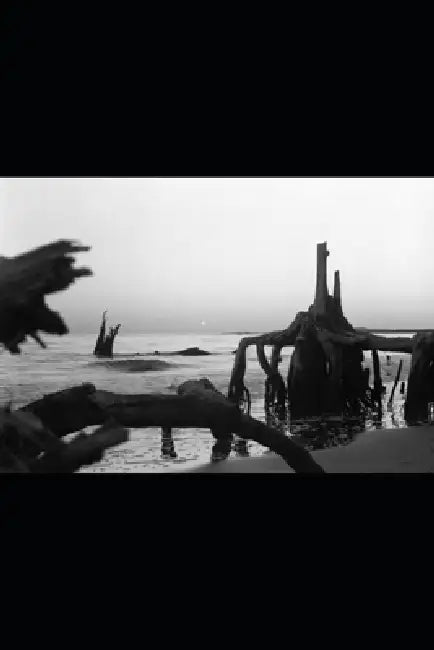 Mare Balticum - und das Tuch des Todes senkte sich herab .....: Das Meer der gefrorenen Seelen Sinfonie des Eiswindes by Rainer Kaltenboeck-Karow