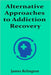 Alternative Approaches to Addiction Recovery by James Relington