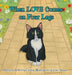 When LOVE Comes on Four Legs by Anthony E. Gurley, Zoë Hansen