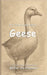 It's Time to Learn about Geese by Walter the Educator