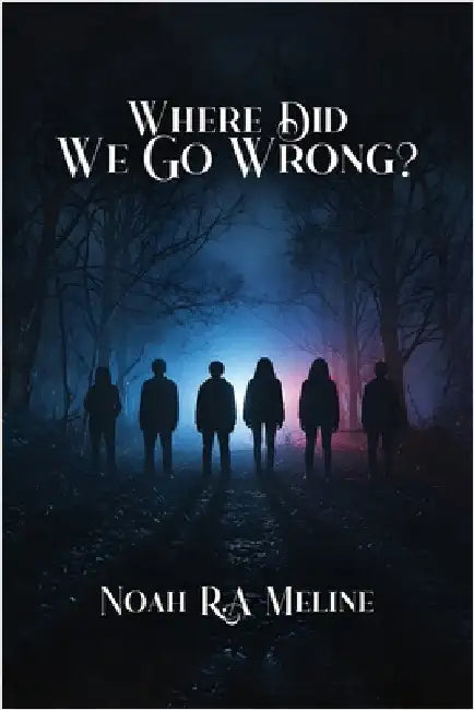 Where Did We Go Wrong? by Noah R. a. Meline