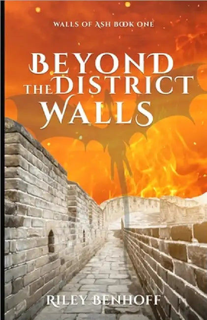 Beyond the District Walls by Benhoff, Riley