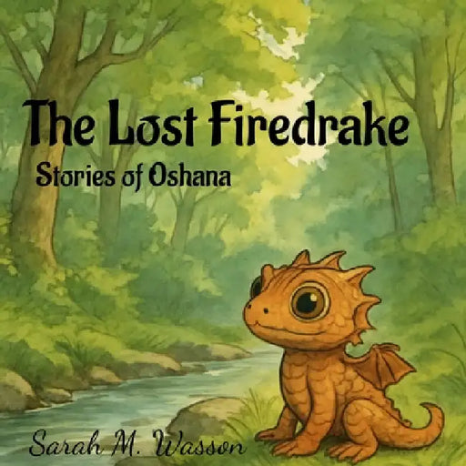 The Lost Firedrake by Sarah Wasson