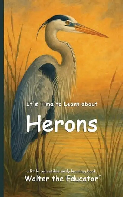 It's Time to Learn about Herons by Walter the Educator