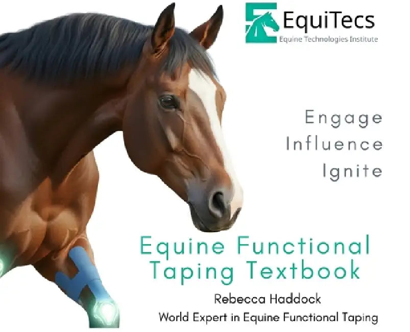 Equine Functional Taping Textbook by Rebecca Haddock, Jennifer Ritchie