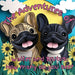 The Adventures of Walter and Brutus: How many do you see? by Nicole Larocco