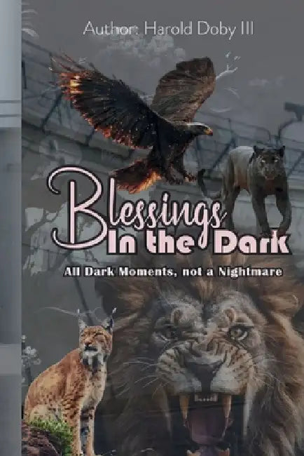 Blessings in the Dark: All Dark Moments, Not a Nightmare by Harold Doby